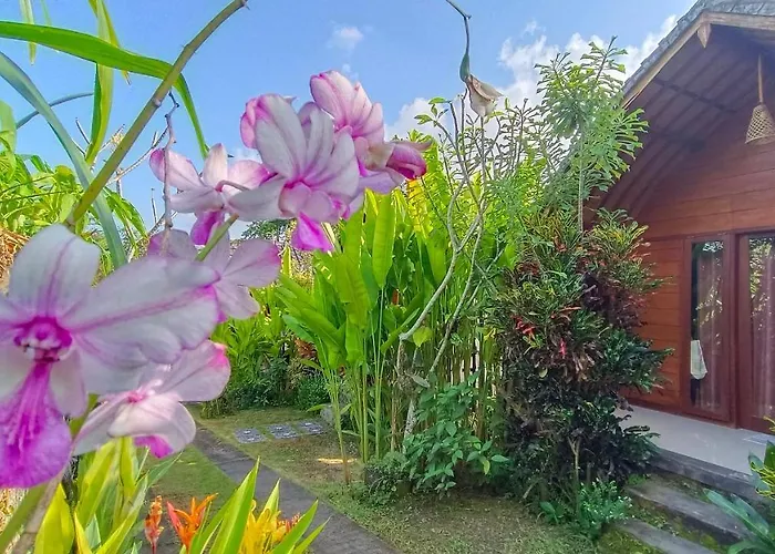 Morning Bali 4* Canggu