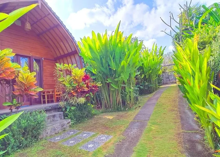 Morning Bali