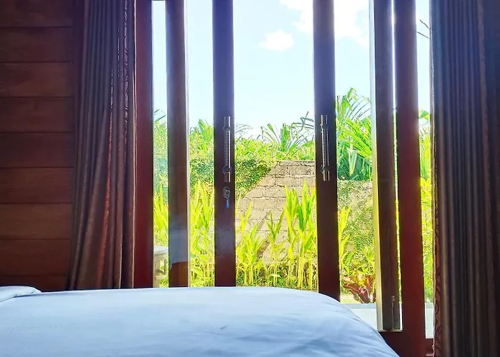 Morning Bali Pensión Canggu