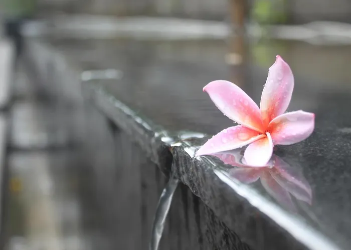 Morning Bali Canggu