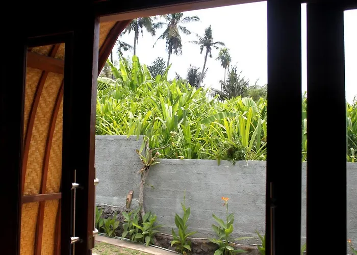 Morning Bali